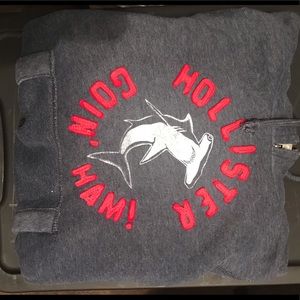 Size small Hollister Hoodie